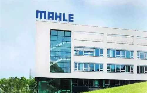 德國汽車零部件企業(yè)銷售額Top 18 技術(shù)咨詢與轉(zhuǎn)讓的關(guān)鍵角色