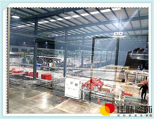 蘆薈運(yùn)動(dòng)保健飲料的配方開發(fā)、技術(shù)咨詢與轉(zhuǎn)讓全解析